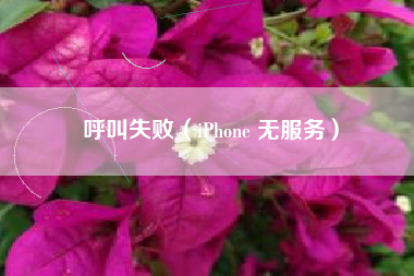 呼叫失败（iPhone 无服务）