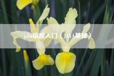 java编程入门（JAVA基础）