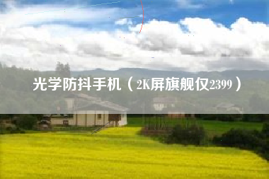 光学防抖手机（2K屏旗舰仅2399）