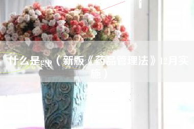 什么是gsp（新版《药品管理法》12月实施）