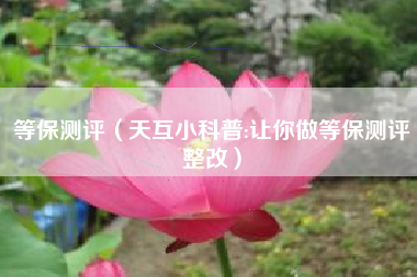 等保测评(天互小科普:让你做等保测评整改)