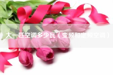 大一匹空调多少瓦（变频和定频空调）
