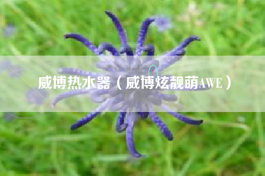 威博热水器(威博炫靓萌AWE)