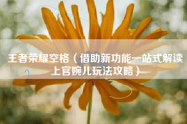 王者荣耀空格（借助新功能一站式解读上官婉儿玩法攻略）