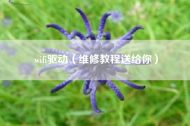 wifi驱动（维修教程送给你）