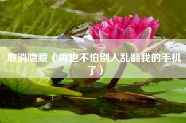 取消隐藏(再也不怕别人乱翻我的手机了)