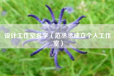 设计工作室名字（范丞丞成立个人工作室）