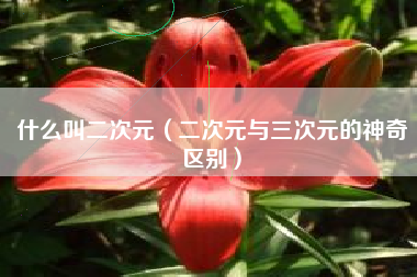 详细阅读:什么叫二次元(二次元与三次元的神奇区别) 什么叫二次元(二次元与三次元的神奇区别)