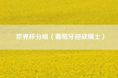 世界杯分组（葡萄牙迎战瑞士）