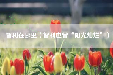 智利在哪里（智利也曾“阳光灿烂”）