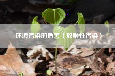 环境污染的危害（放射性污染）