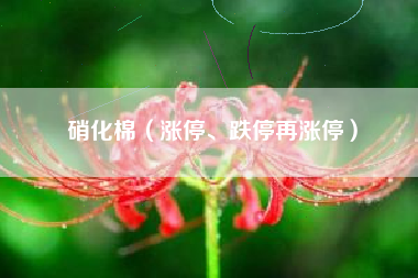详细阅读:硝化棉(涨停、跌停再涨停) 硝化棉(涨停、跌停再涨停)