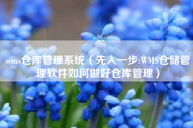 wms仓库管理系统（先人一步:WMS仓储管理软件如何做好仓库管理）