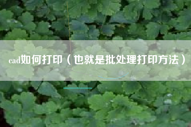 cad如何打印（也就是批处理打印方法）