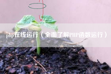 php在线运行（全面了解PHP函数运行）