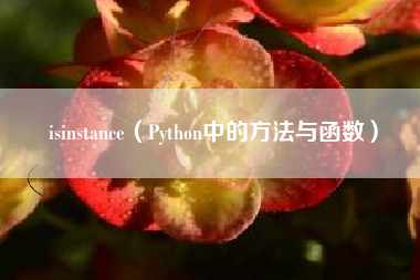 isinstance（Python中的方法与函数）