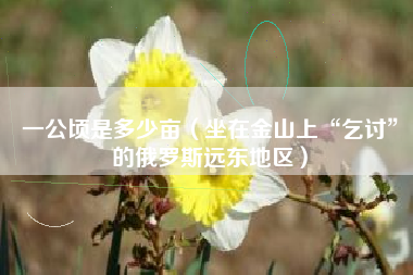 一公顷是多少亩(坐在金山上“乞讨”的俄罗斯远东地区)