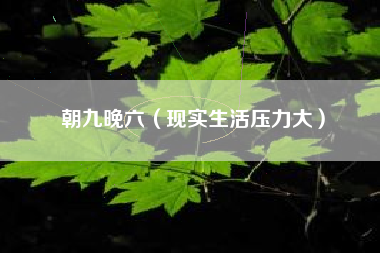 朝九晚六（现实生活压力大）