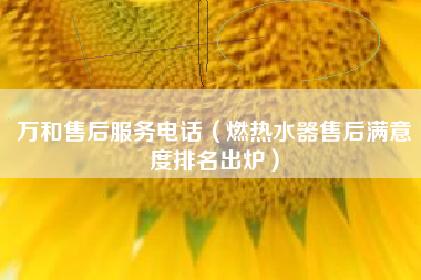 万和售后服务电话(燃热水器售后满意度排名出炉)