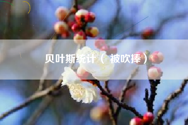 贝叶斯统计（ 被吹捧）