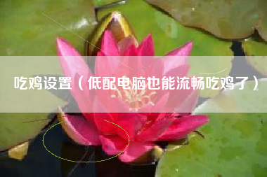 吃鸡设置（低配电脑也能流畅吃鸡了）