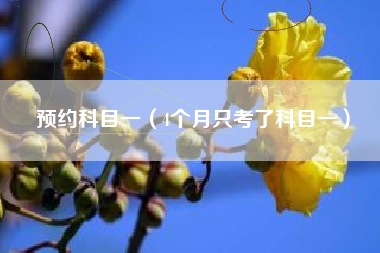 详细阅读:预约科目一(4个月只考了科目一) 预约科目一(4个月只考了科目一)
