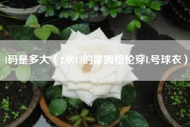 l码是多大（2米13的霍姆格伦穿L号球衣）