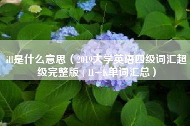 ill是什么意思（2019大学英语四级词汇超级完整版 ( H~K单词汇总）