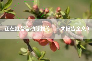 正在准备自动修复（二十大报告全文）