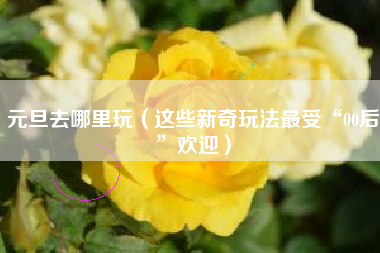 元旦去哪里玩（这些新奇玩法最受“00后”欢迎）