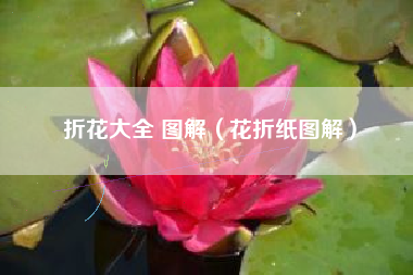 折花大全 图解（花折纸图解）