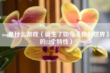 mc是什么游戏（诞生了如今《我的世界》的12个特性）