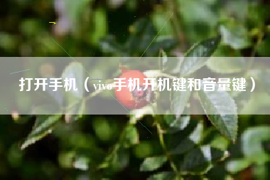 打开手机（vivo手机开机键和音量键）