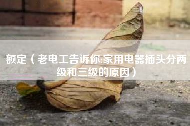 额定（老电工告诉你:家用电器插头分两级和三级的原因）