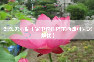 详细阅读:怎么去水垢(家中这几样东西即可为您解忧) 怎么去水垢(家中这几样东西即可为您解忧)