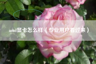 amd显卡怎么样（专业用户看过来）