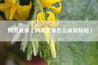 网页截屏（网页文章怎么复制粘贴）