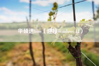 华硕进bios(迎接Windows 11)