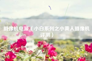 摄像机电源（小白系列之小黄人摄像机评测）