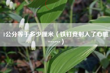 详细阅读:1公分等于多少厘米(铁钉竟射入了心脏……) 1公分等于多少厘米(铁钉竟射入了心脏……)