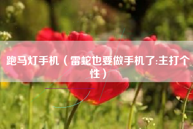 跑马灯手机(雷蛇也要做手机了:主打个性)