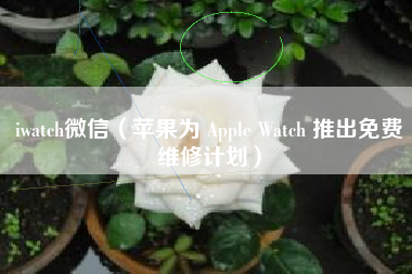iwatch微信(苹果为 Apple Watch 推出免费维修计划)