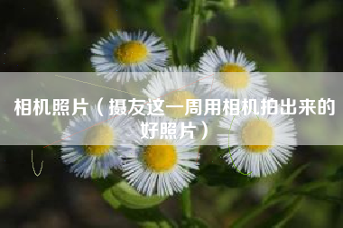 相机照片(摄友这一周用相机拍出来的好照片)