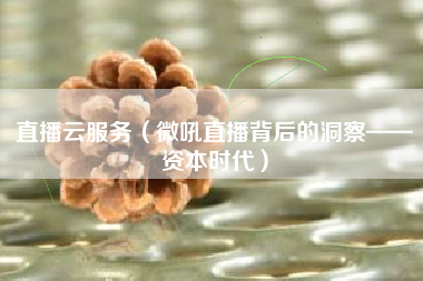直播云服务（微吼直播背后的洞察——资本时代）