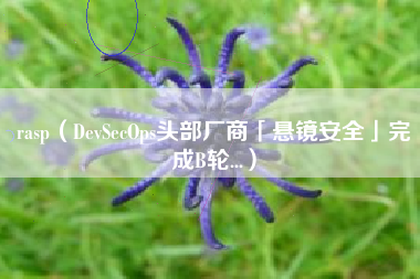 rasp（DevSecOps头部厂商「悬镜安全」完成B轮...）