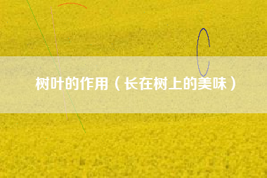 详细阅读:树叶的作用(长在树上的美味) 树叶的作用(长在树上的美味)