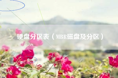 硬盘分区表（MBR磁盘及分区）