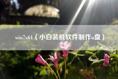 win7x64（小白装机软件制作u盘）