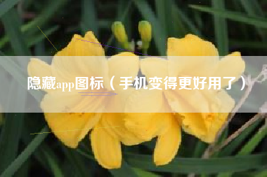 隐藏app图标（手机变得更好用了）