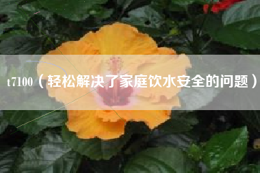 t7100（轻松解决了家庭饮水安全的问题）